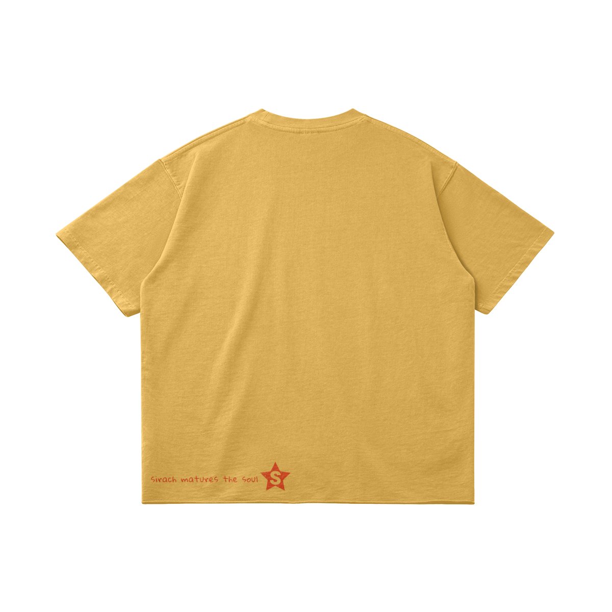 0-YHZ-Back Side